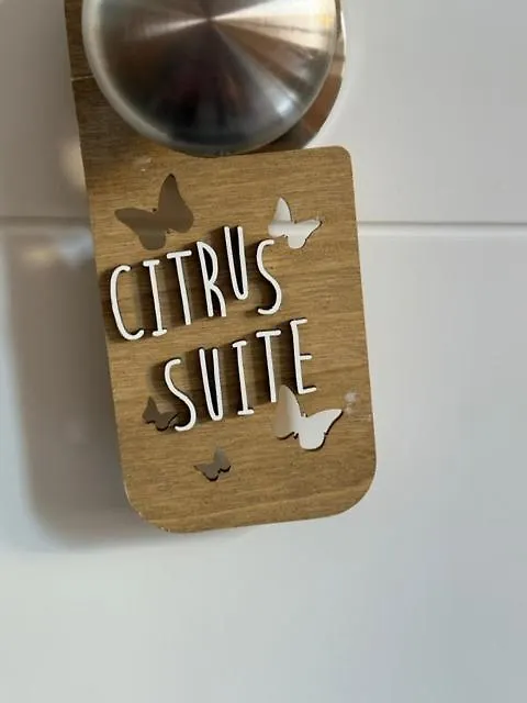 Citrus Suite By Alhaurin Loft City Center Alhaurín de la Torre Appartamento